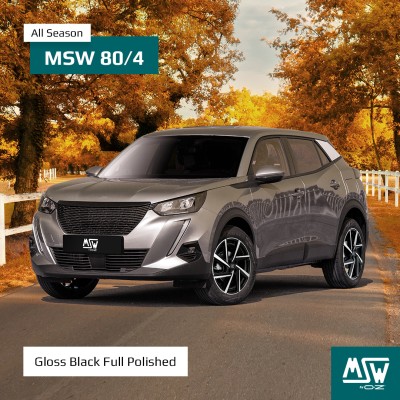 4x100 17x7 ET42 MSW 80-4 GBFP 63.4